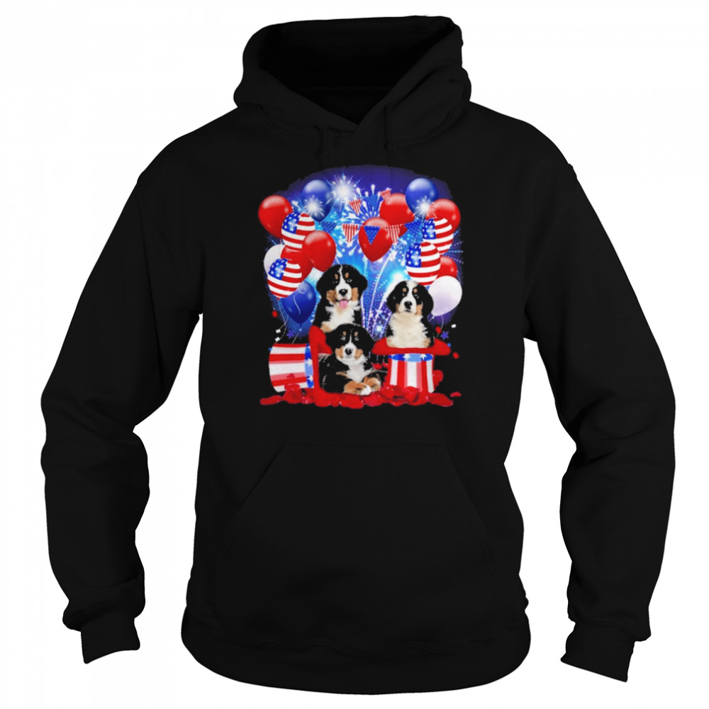 Bernese Mountain Balloons Fireworks Shirt Unisex Hoodie