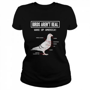 Birds Aren’t Real Wake Up America Shirt Classic Women's T-shirt