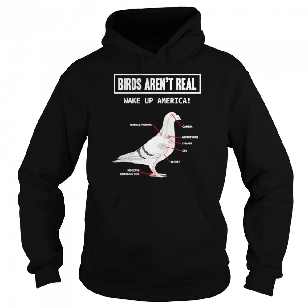 Birds Aren’t Real Wake Up America Shirt Unisex Hoodie