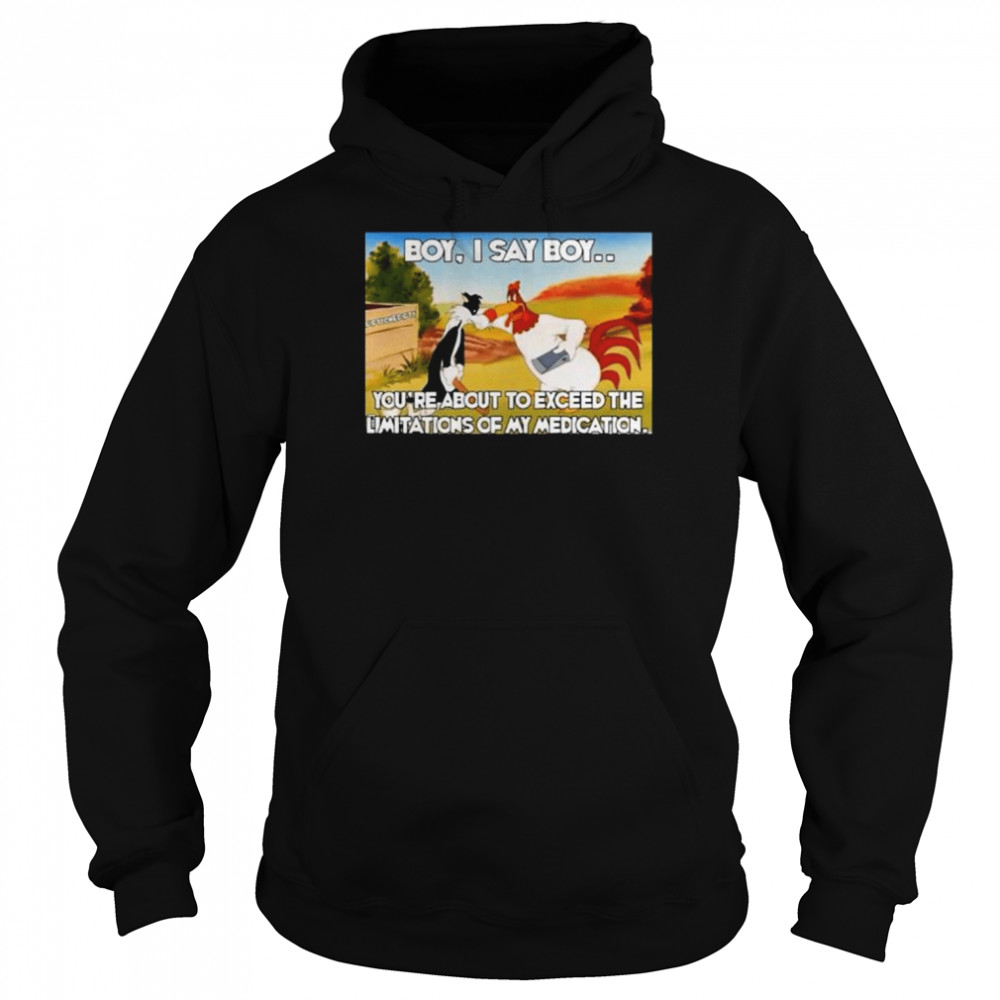 Boy I say boy you’re about to exceed  Unisex Hoodie