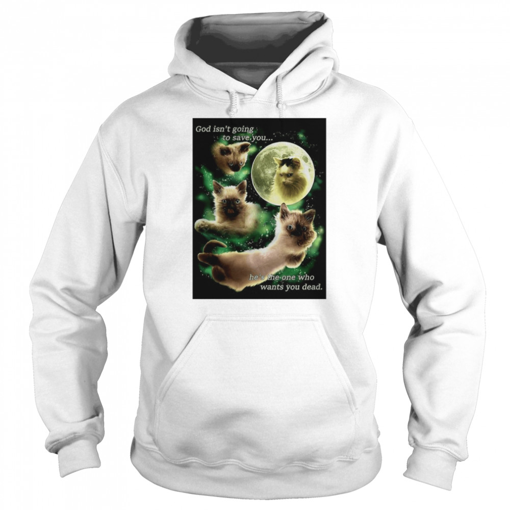 Cat The Creation of Faucet  Unisex Hoodie