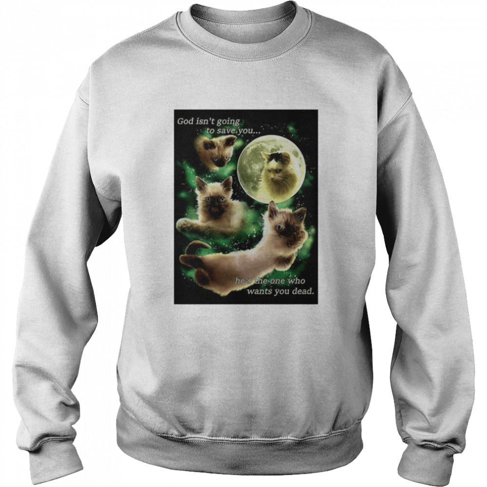 Cat The Creation of Faucet  Unisex Sweatshirt