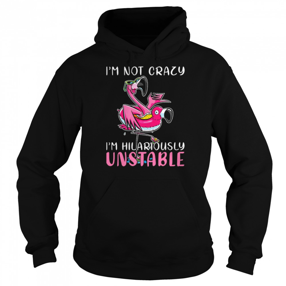 Flamingo I’m not lazy I’m hilariously unstable  Unisex Hoodie