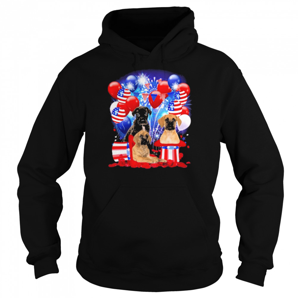 Great Dane Balloons Fireworks Shirt Unisex Hoodie