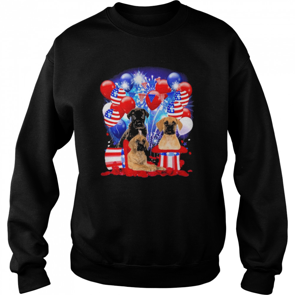 Great Dane Balloons Fireworks Shirt Unisex Sweatshirt