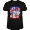 Maltese Balloons Fireworks Shirt Classic Men's T-shirt