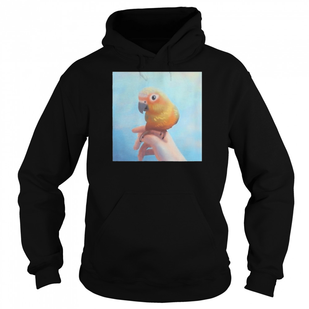 sun conure perching on your hand  Unisex Hoodie