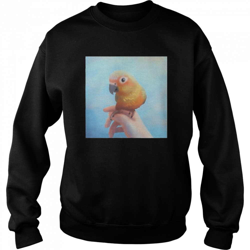 sun conure perching on your hand  Unisex Sweatshirt