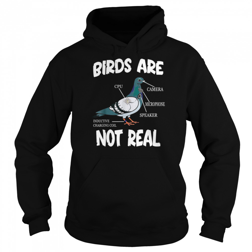 Birds Are Not Real Bird Spies Conspiracy Theory Birds Shirt Unisex Hoodie