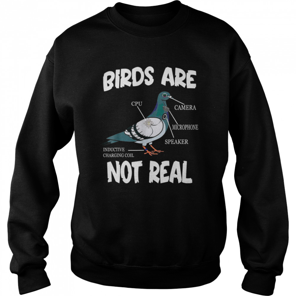 Birds Are Not Real Bird Spies Conspiracy Theory Birds Shirt Unisex Sweatshirt