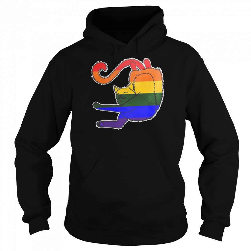 LGBT Cat pride happy pride month  Unisex Hoodie