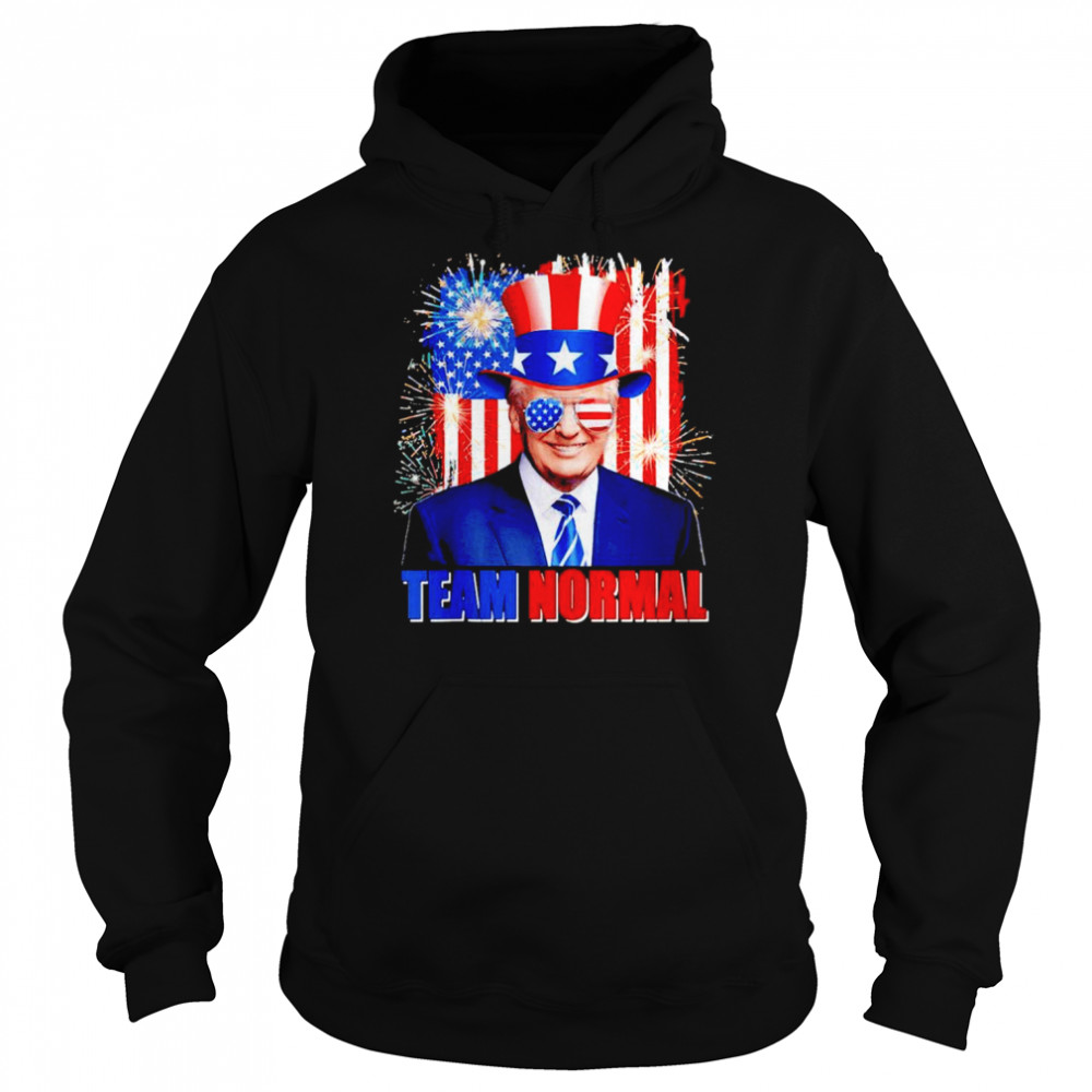 Team Normal 2022 USA America Flag Pro Trump 2024  Unisex Hoodie