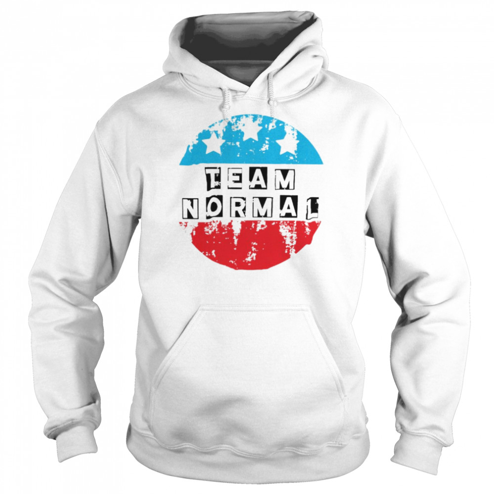 Team Normal Distressed Team America Shirt Unisex Hoodie