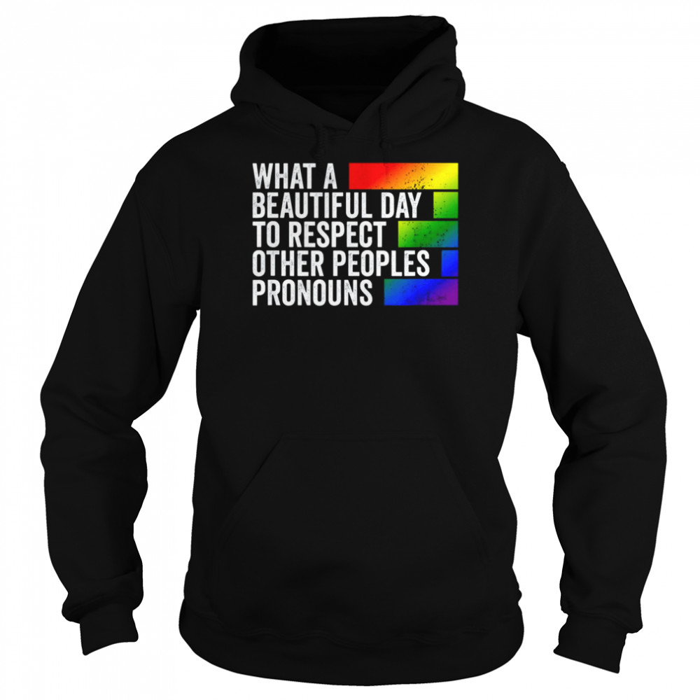 What A Beautiful Day To Respect Other Peoples Pronouns Gay Shirt Unisex Hoodie