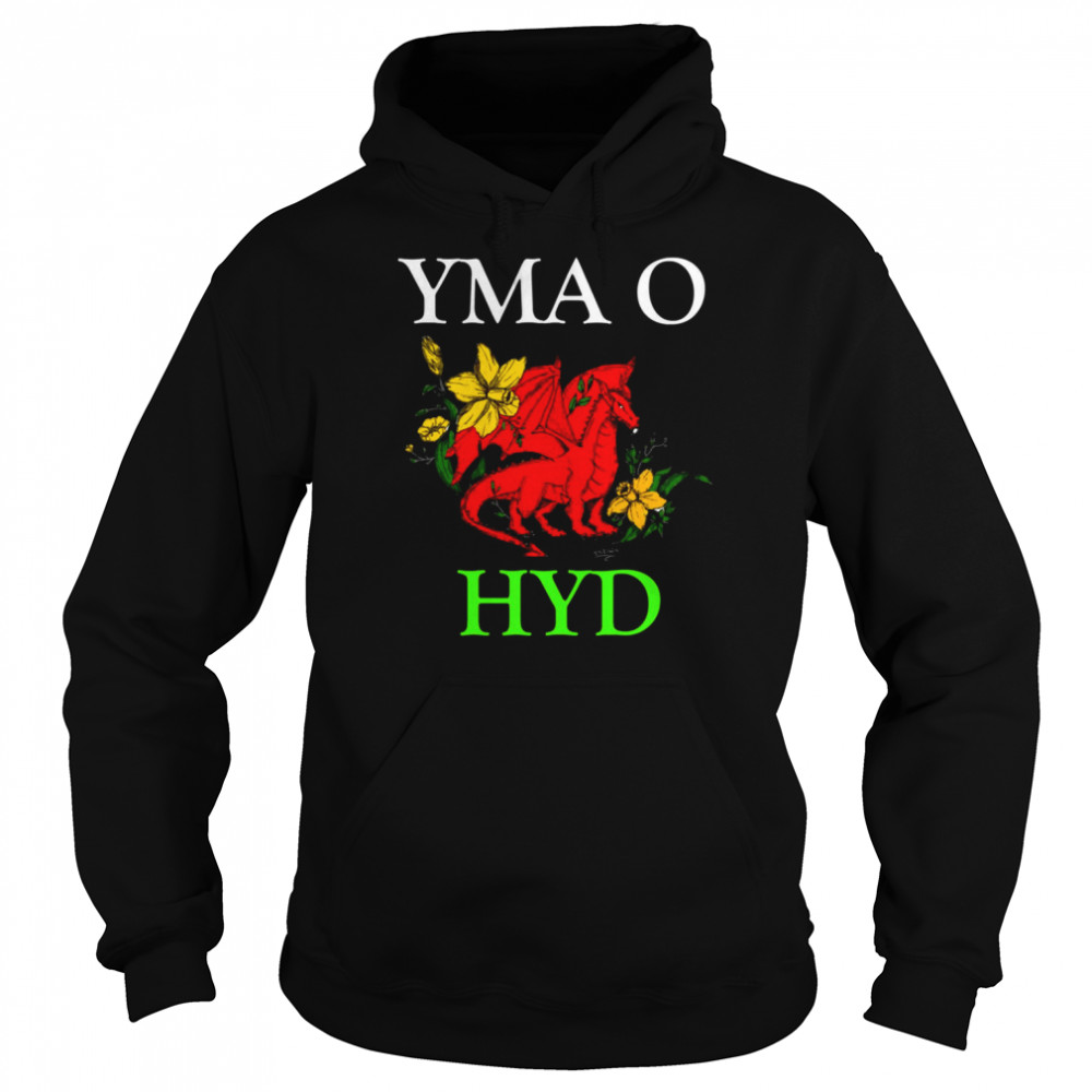 Yma O Hyd  Unisex Hoodie