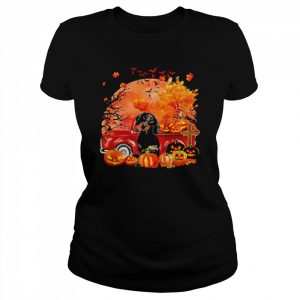 Black Dachshund Dog Hollowed Pumpkin Moon Shirt Classic Women's T-shirt