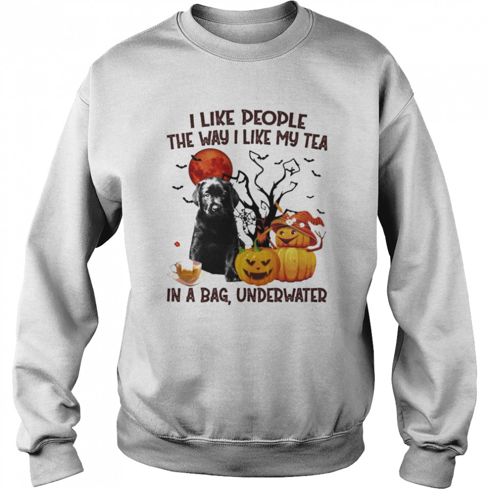 Black Labrador Pup I like people the way I like my Tea in a bag underwater Halloween  Unisex Sweatshirt