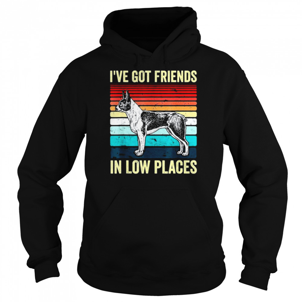 Boston Terrier Dog I’ve Got Friends In Low Places Shirt Unisex Hoodie