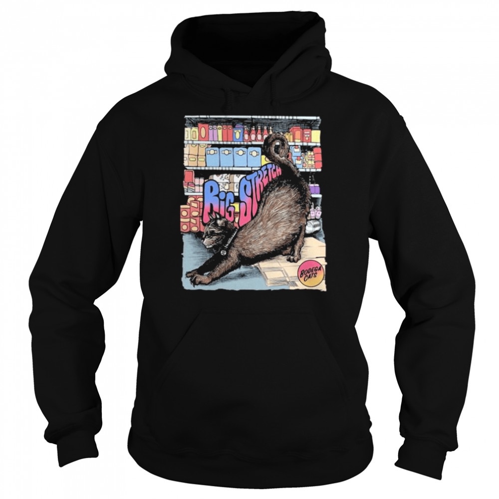 Cat Big Stretch Tee Shirt Unisex Hoodie