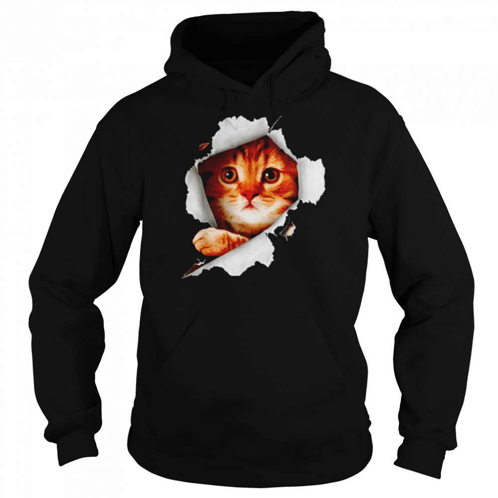 Cat Torn Cloth  Unisex Hoodie