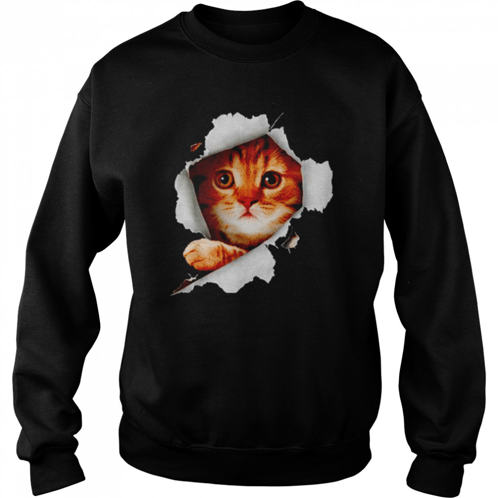 Cat Torn Cloth  Unisex Sweatshirt