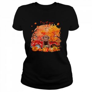 Chocolate Labrador Dog Hollowed Pumpkin Moon Shirt Classic Women's T-shirt