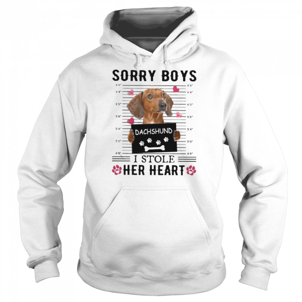 Dachshund Sorry Boys I Stole Her Heart Shirt Unisex Hoodie