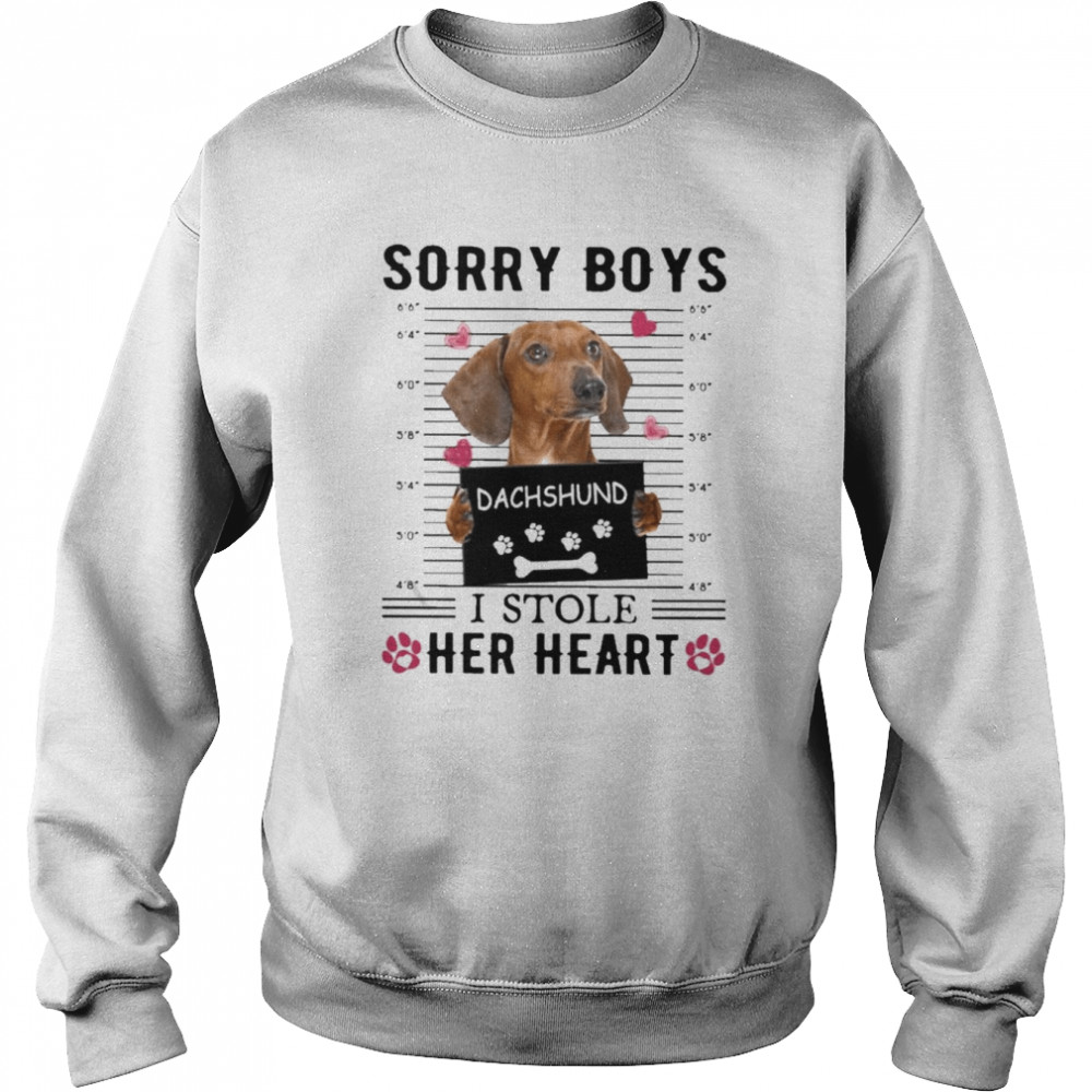 Dachshund Sorry Boys I Stole Her Heart Shirt Unisex Sweatshirt