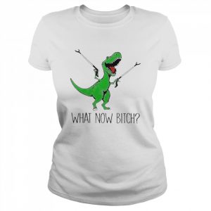 Dinosaur what now bitch  Classic Women's T-shirt