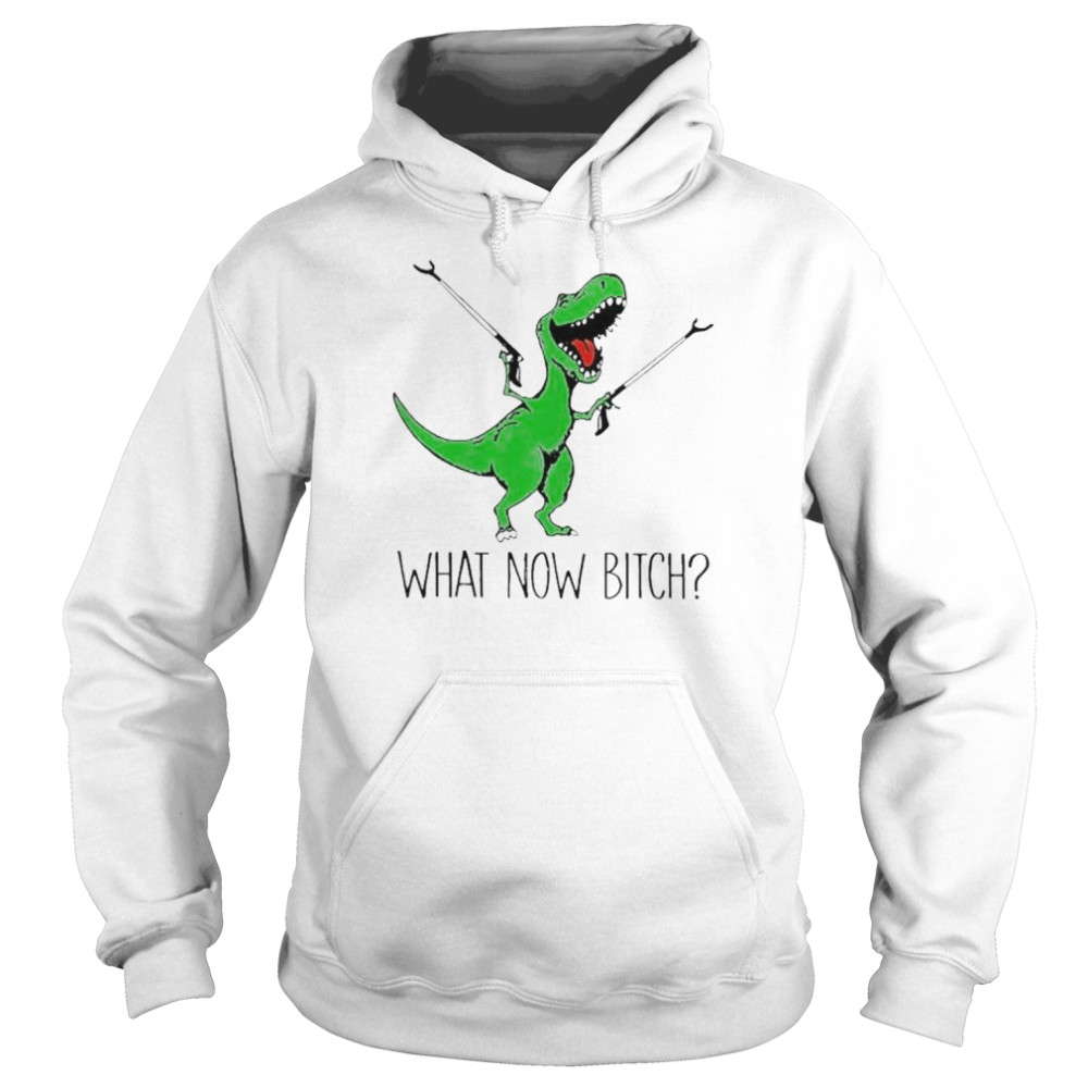 Dinosaur what now bitch  Unisex Hoodie