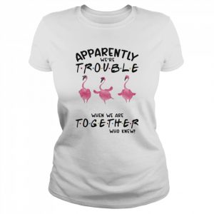 Flamingos apparently we’re trouble when we are together who knew 2022  Classic Women's T-shirt