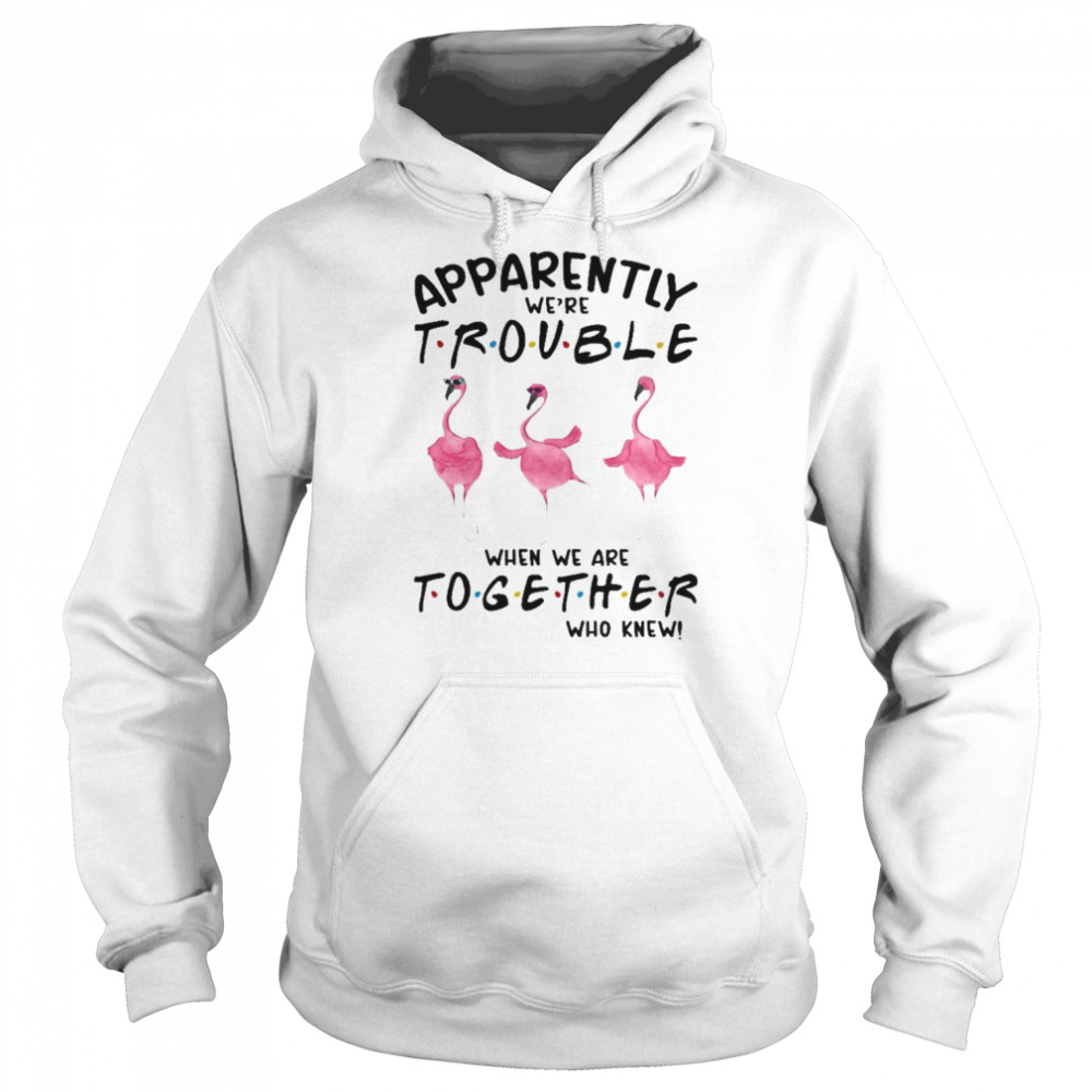 Flamingos apparently we’re trouble when we are together who knew 2022  Unisex Hoodie