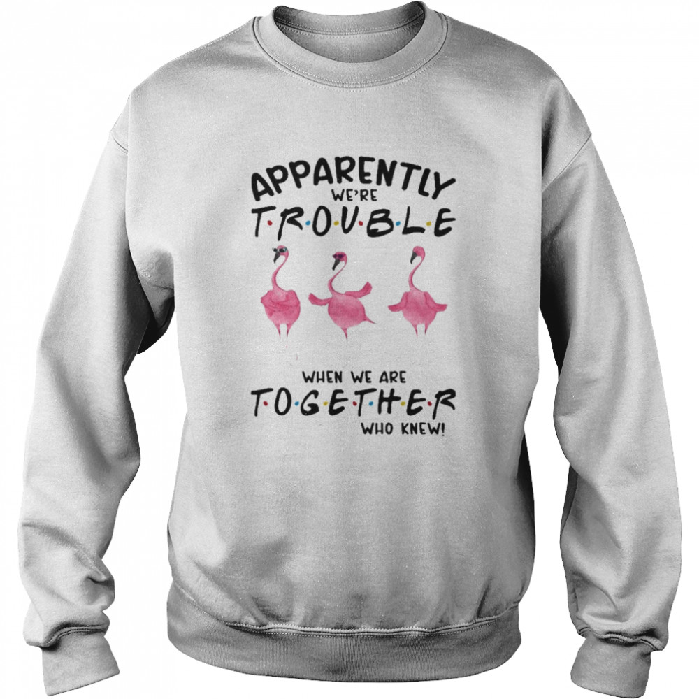 Flamingos apparently we’re trouble when we are together who knew 2022  Unisex Sweatshirt