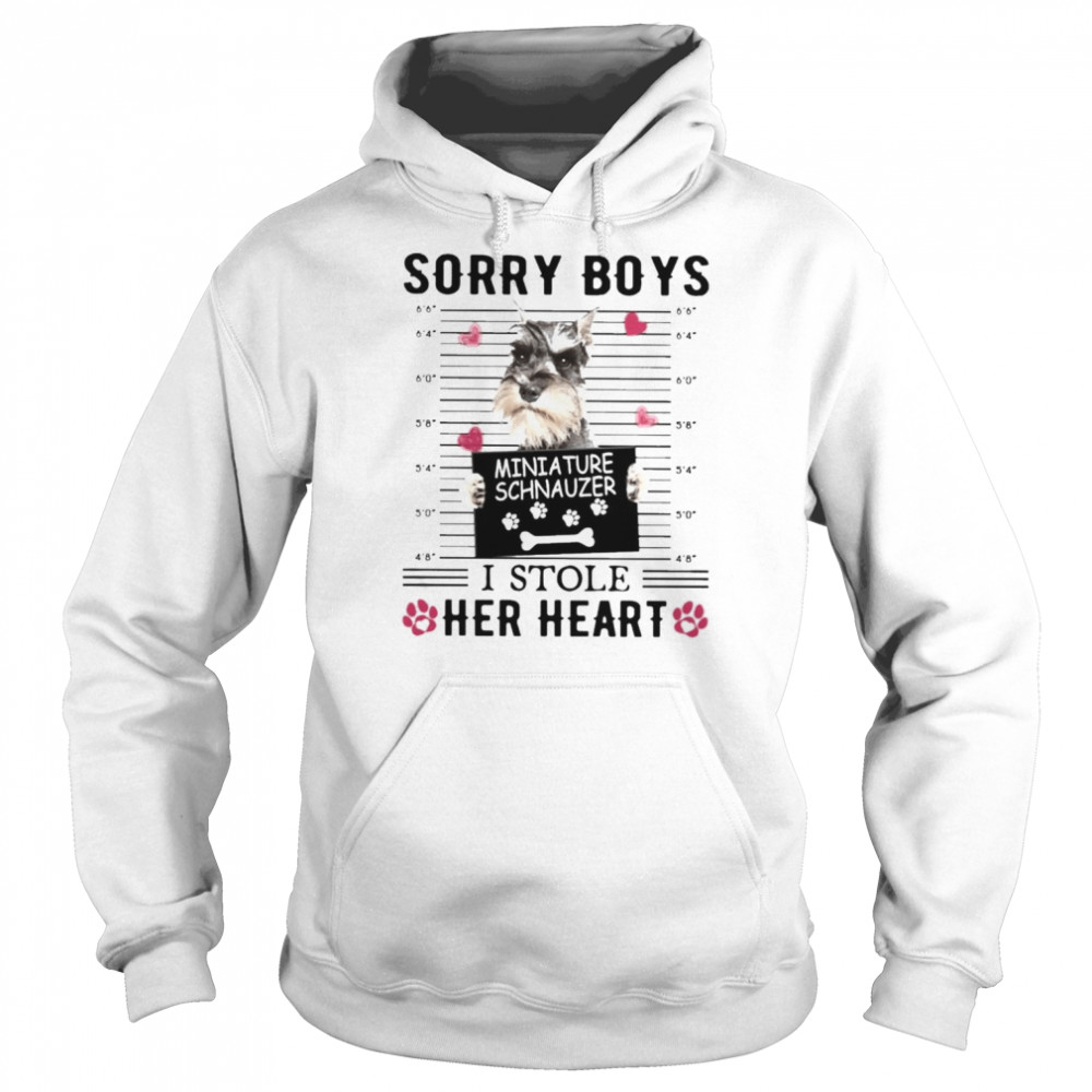 GREY Miniature Schnauzer Sorry Boys I Stole Her Heart Shirt Unisex Hoodie