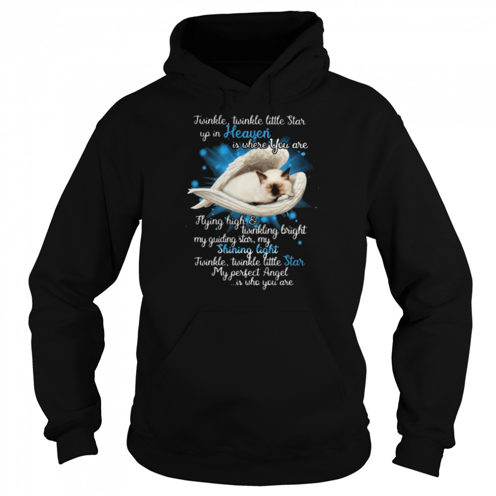 Grumpy Cat Angel twinkle little star up in heaven is where You are  Unisex Hoodie