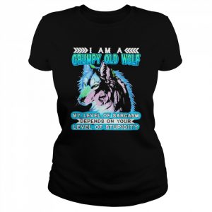 I Am A Grumpy Old Wolf My Level Of Sarcasm Depends On Your Level Of Stupidity Shirt Classic Women's T-shirt