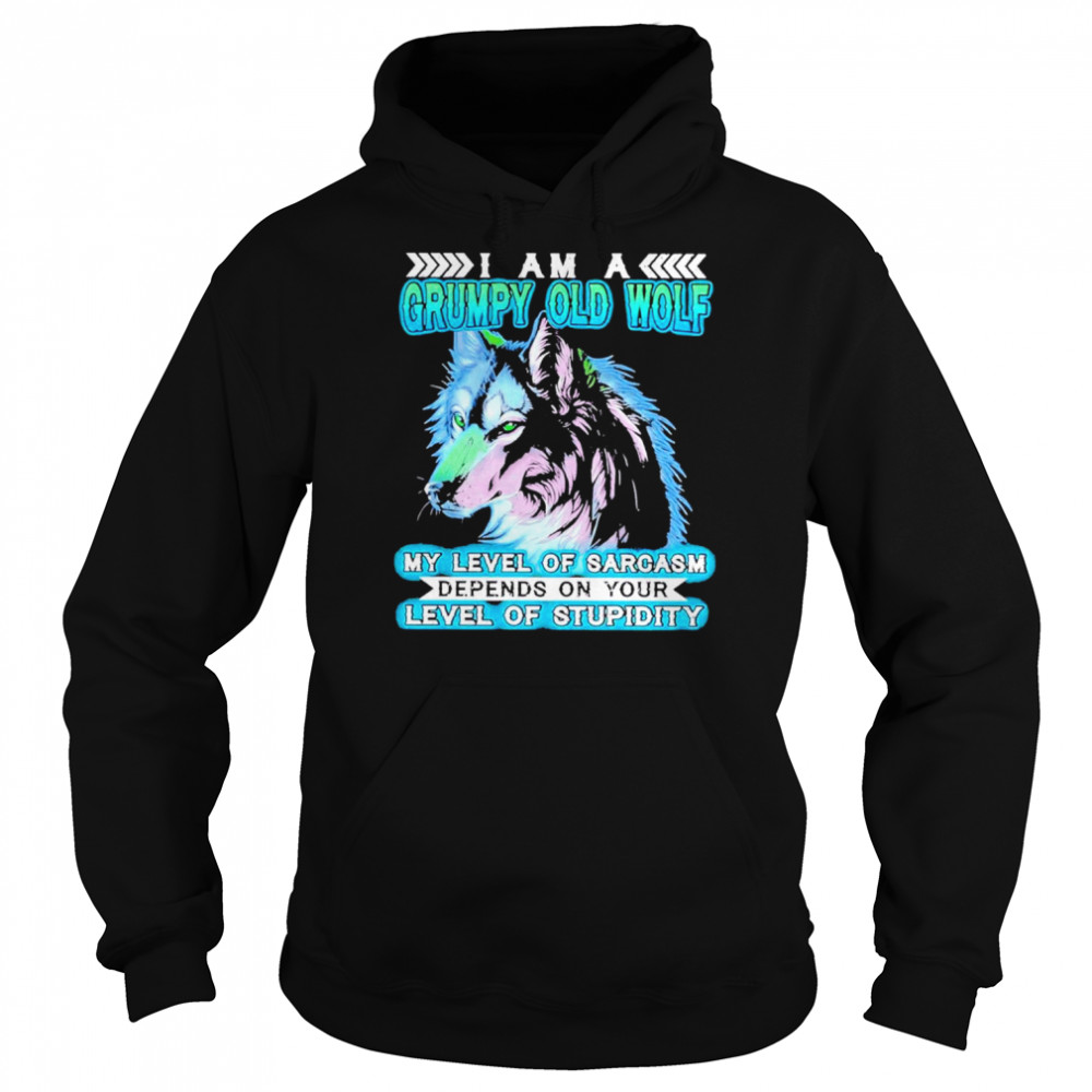 I Am A Grumpy Old Wolf My Level Of Sarcasm Depends On Your Level Of Stupidity Shirt Unisex Hoodie