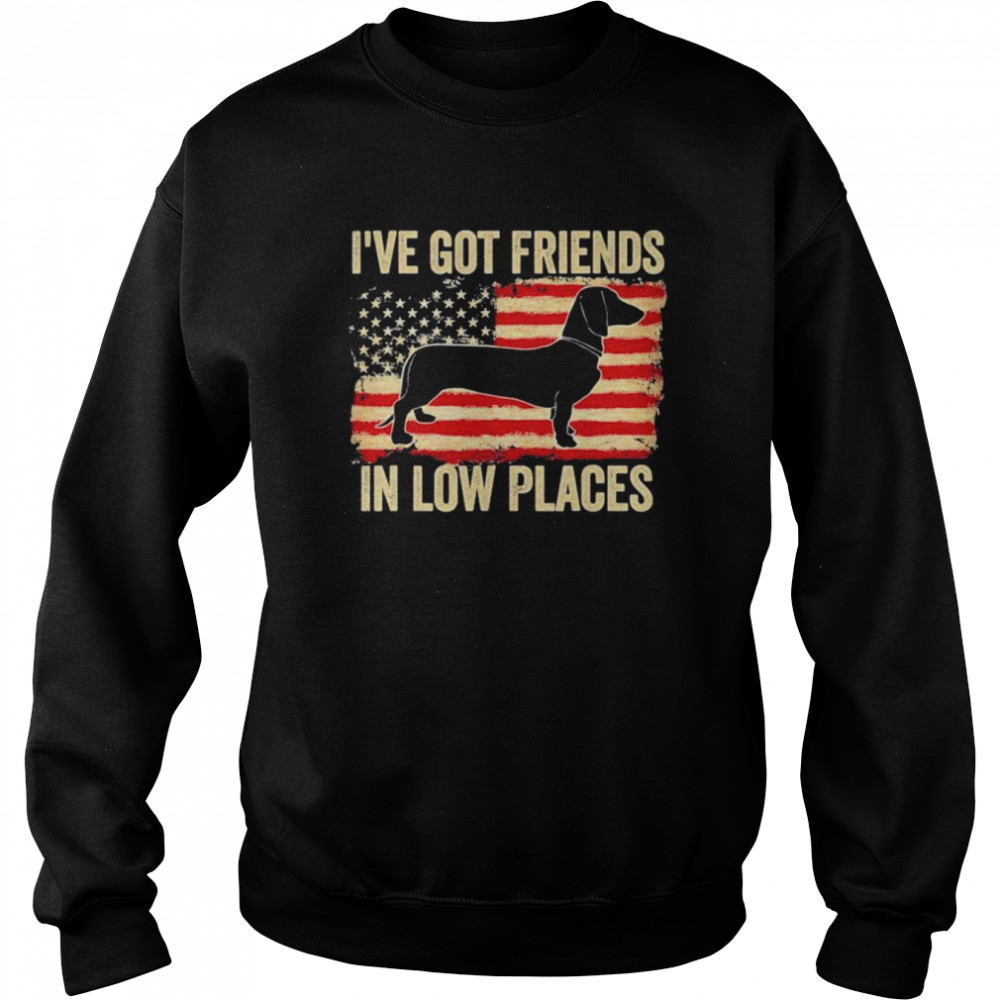 I’ve Got Friends In Low Places Dachshund American Flag Shirt Unisex Sweatshirt