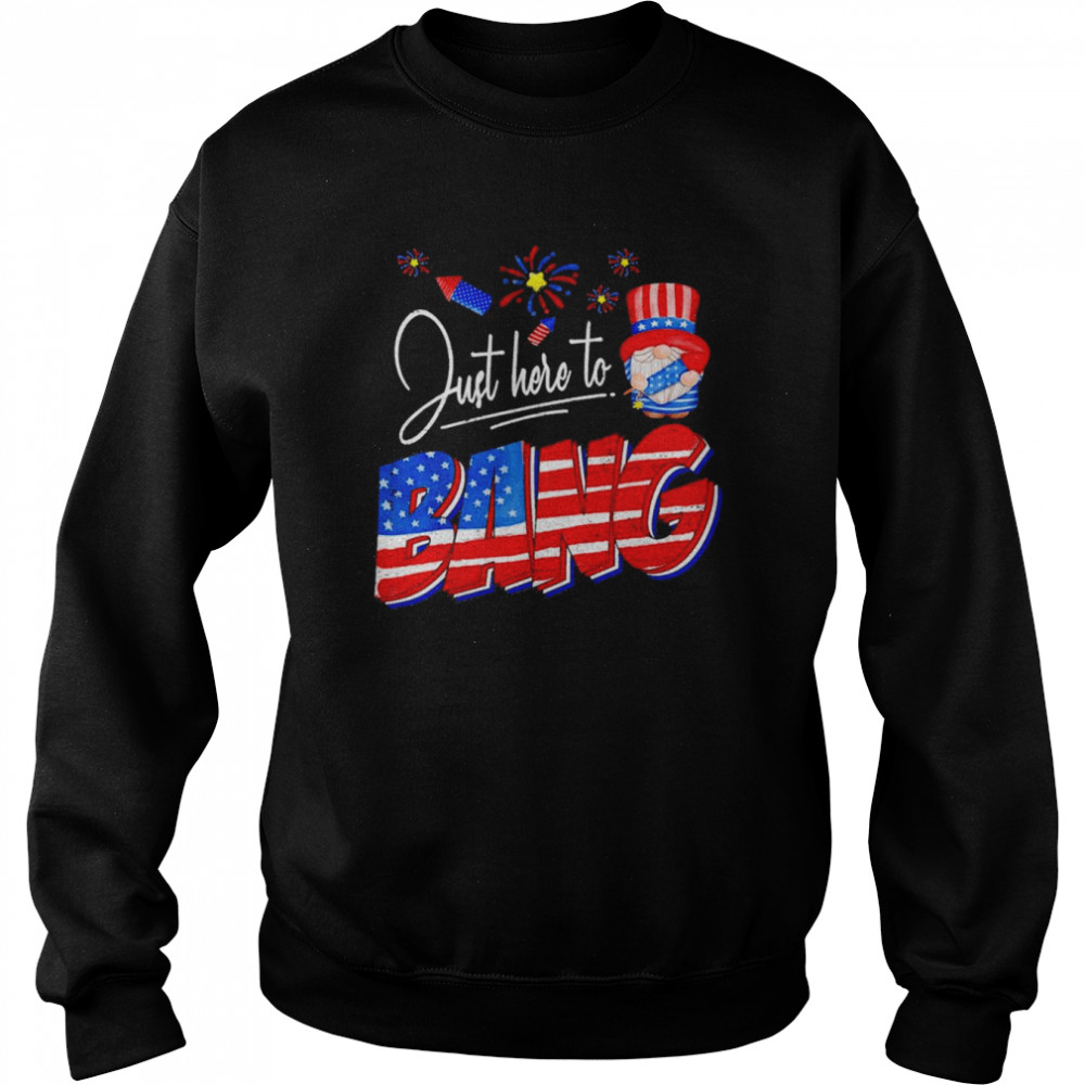 Just Here to Bang 4th of July Funny American Gnome Fireworks Shirt Unisex Sweatshirt