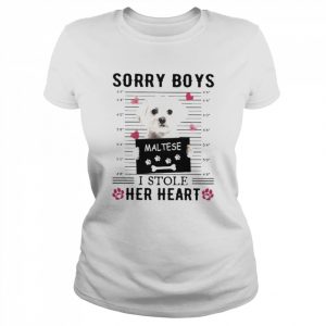 Maltese Sorry Boys I Stole Her Heart Shirt Classic Women's T-shirt