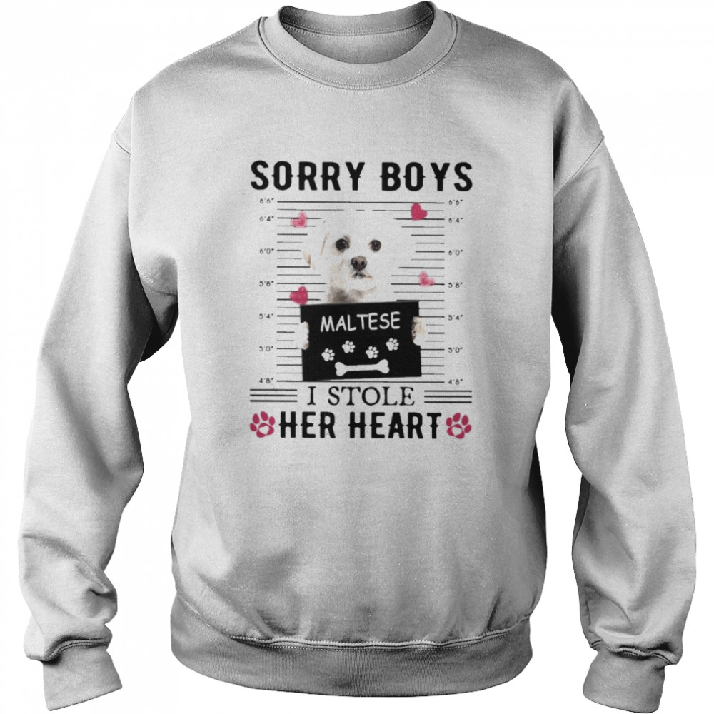 Maltese Sorry Boys I Stole Her Heart Shirt Unisex Sweatshirt