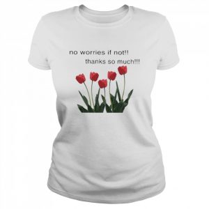 No worries if not thanks so much  Classic Women's T-shirt