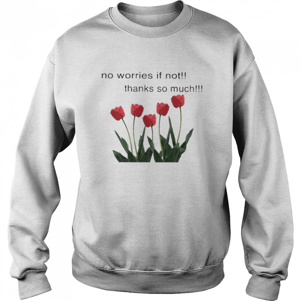 No worries if not thanks so much  Unisex Sweatshirt