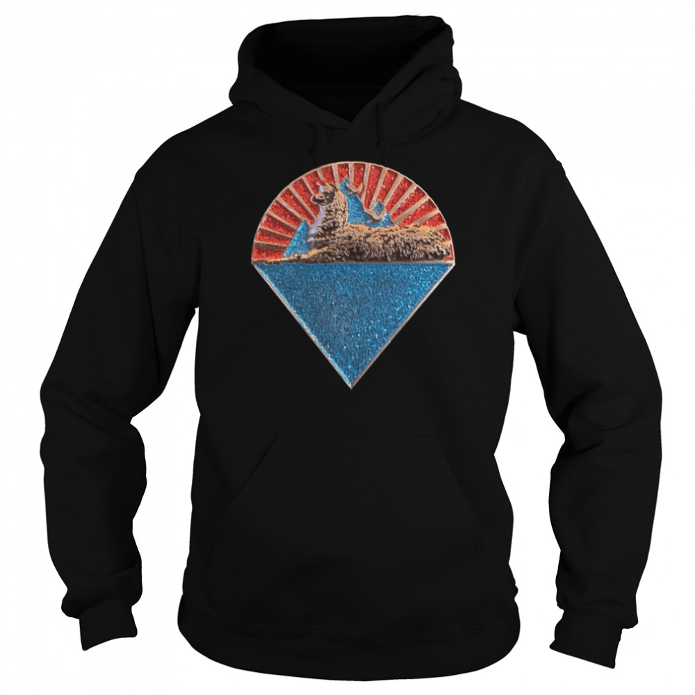 Phish Llamas Under The Stars Shirt Unisex Hoodie