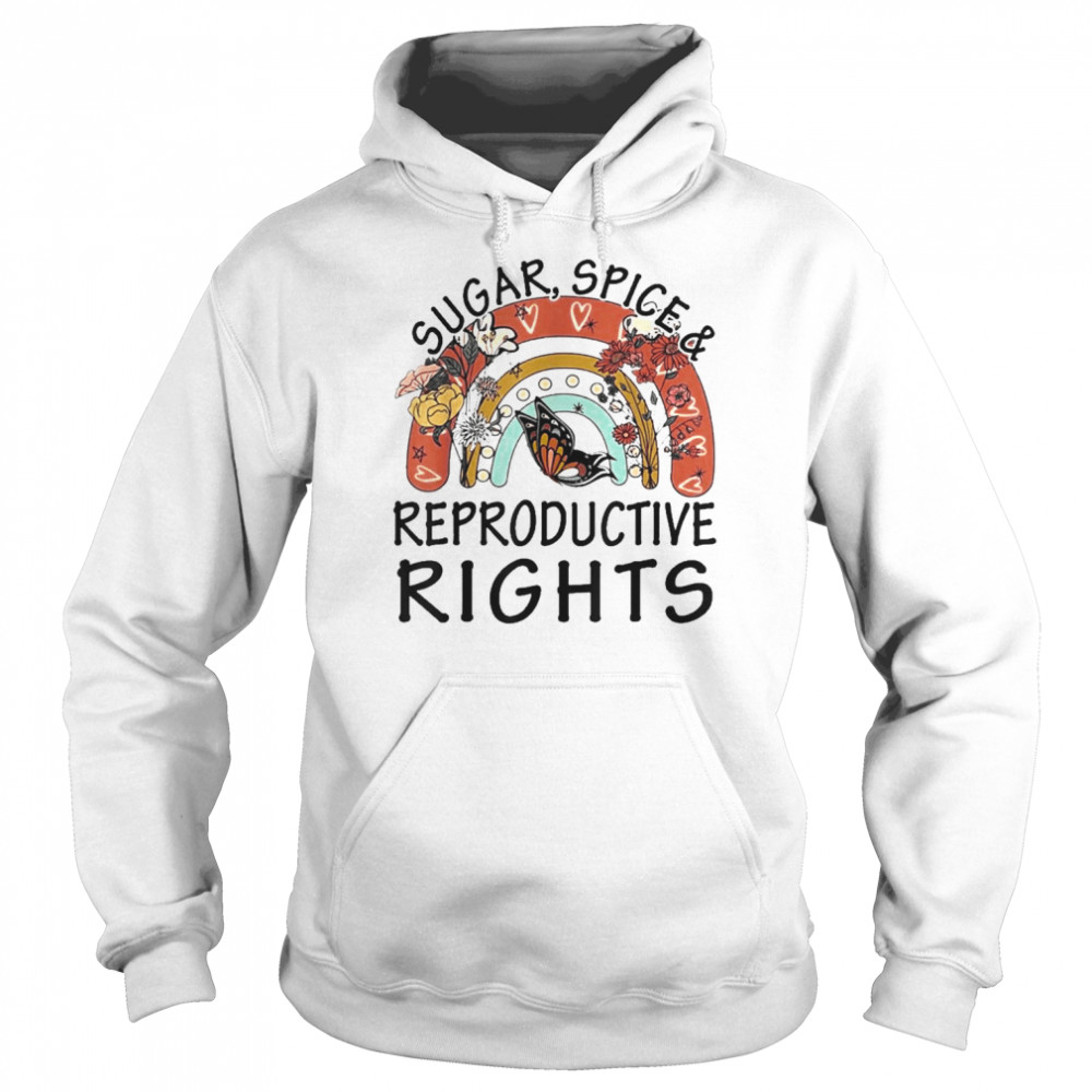 Rainbow Sugar Spice Reproductive Womens Rights Feminist Shirt Unisex Hoodie