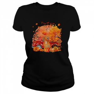 Red Dachshund Dog Hollowed Pumpkin Moon Shirt Classic Women's T-shirt