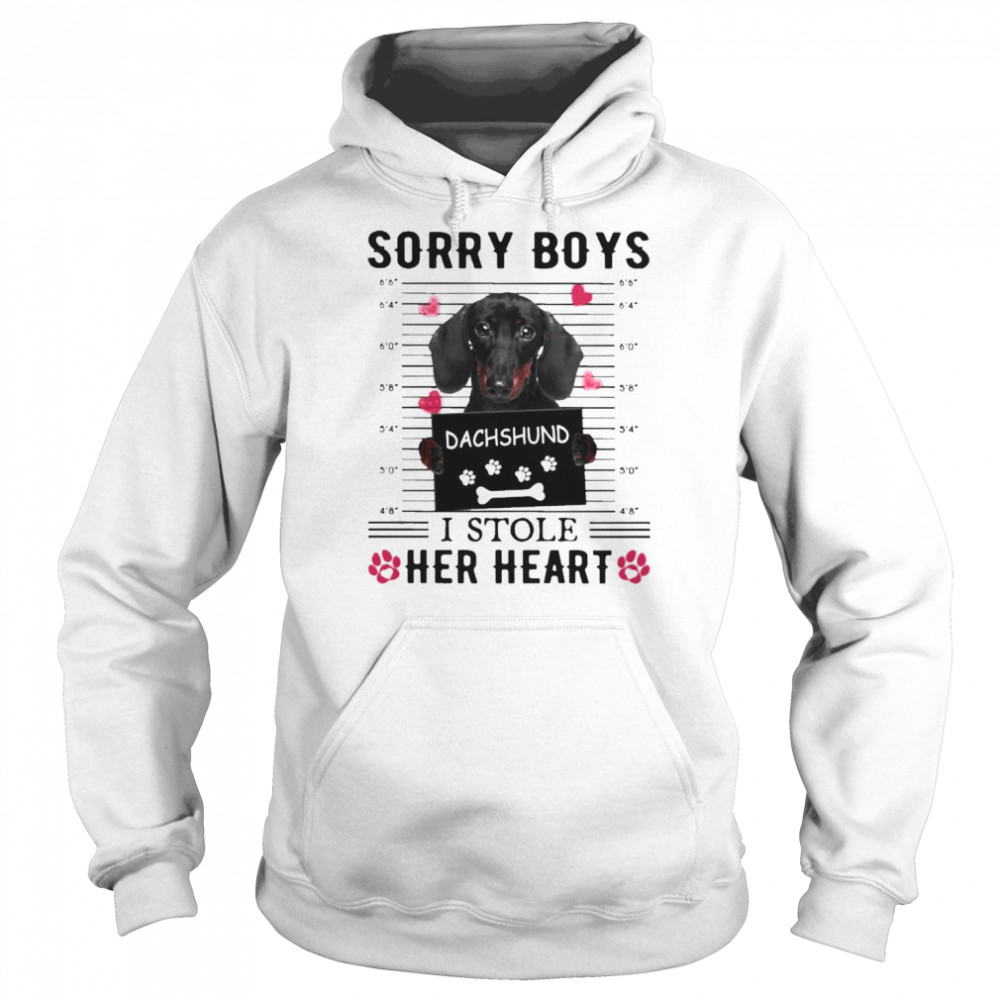 Sorry Boys I Stole Her Heart Dachshund Dog Shirt Unisex Hoodie