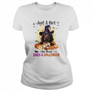 Sussex Spaniel Just A Girl Who Loves Dogs And Halloween Shirt Classic Women's T-shirt