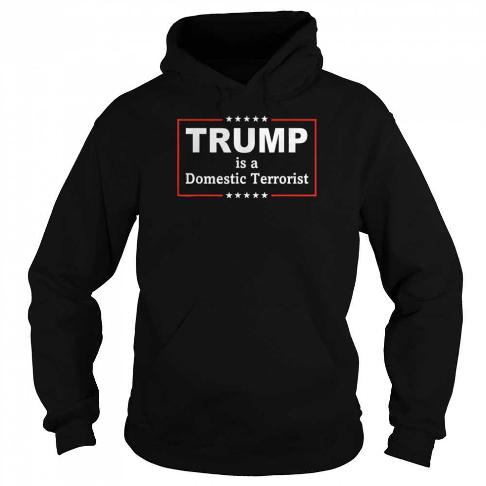 Trump is a domestic terrorist quote 2022 tee  Unisex Hoodie