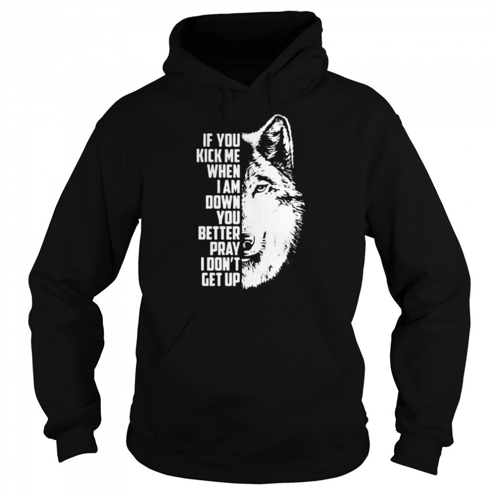 Wolf If You kick me when I am down You better pray I don’t get up 2022  Unisex Hoodie